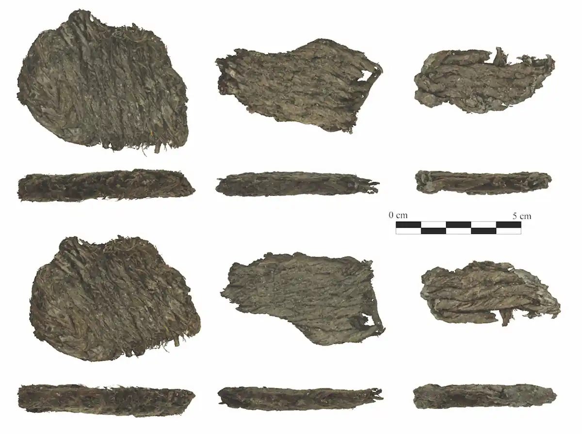 **Top, bottom, and side views of the footwear soles.** Credit: Bustamante-Álvarez, M. et al., 2026. **Top, bottom, and side views of the footwear soles.** Credit: Bustamante-Álvarez, M. et al., 2026.