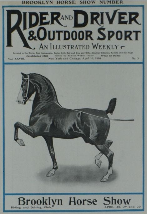 This may contain: an advertisement for a horse show with the rider and driver on it's back This may contain: an advertisement for a horse show with the rider and driver on it's back