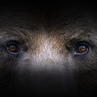 This May Not Be Just Another Pullback - Advanced Topics