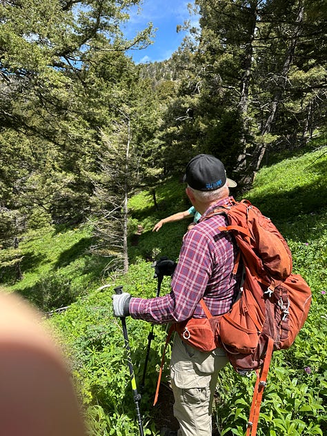A tree, men talking on a trail, view of mountaintop from below
