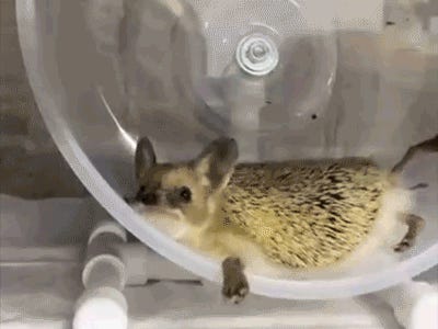 Die Another Day: Tabs, Mon. April 27, 2026