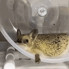 Die Another Day: Tabs, Mon. April 27, 2026