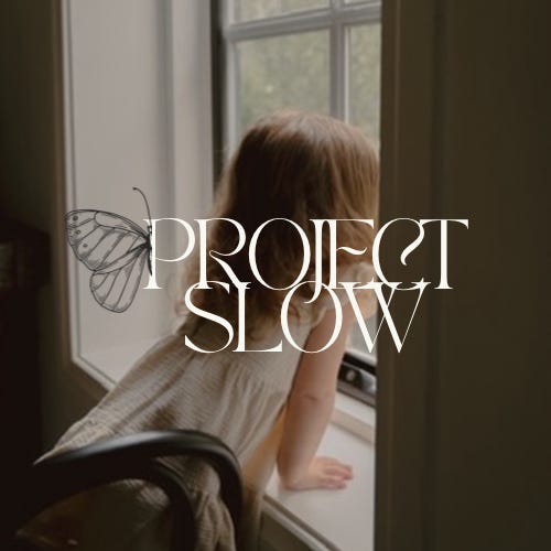 Artwork for Project Slow