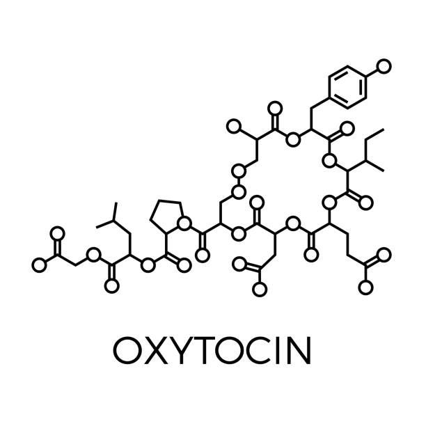 890+ Ocytocine Photos, taleaux et images libre de droits - iStock | Hormones, Guerison 890+ Ocytocine Photos, taleaux et images libre de droits - iStock | Hormones, Guerison