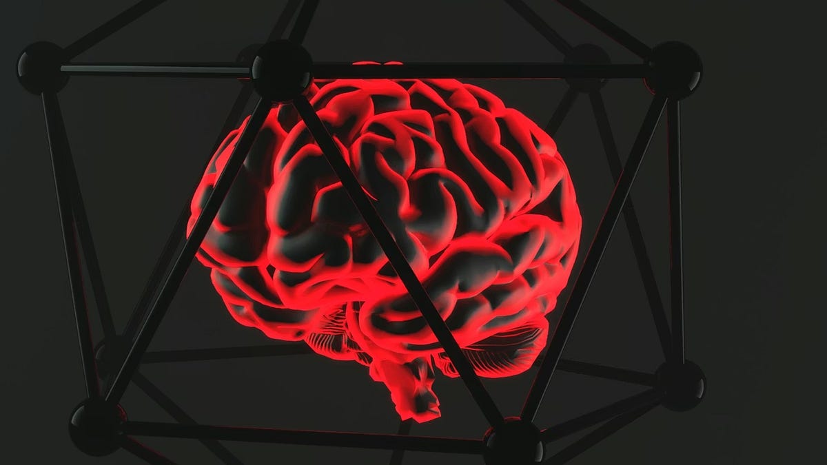 Midcingulate The Anterior Midcingulate Cortex: Your Brain's Discipline Center