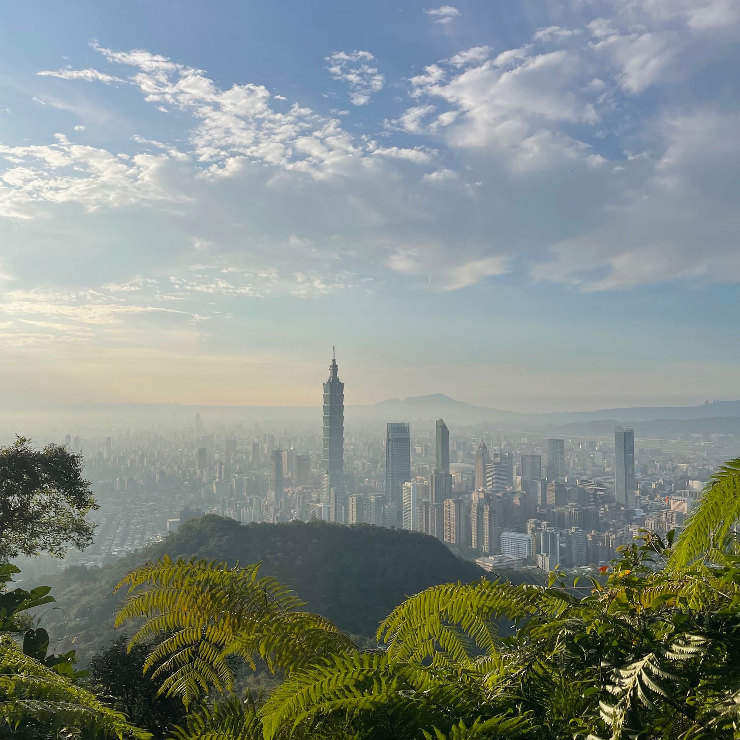 A view of Taipei through the forest on Xiangshan. A cloudy sky above a side cityscape with bushes in the foreground