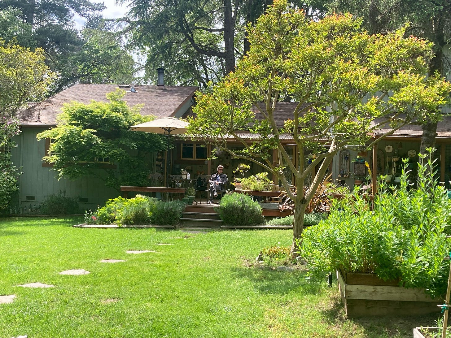 A back yard full of and surrounded by green trees, with a man sitting on the house’s wooden porch