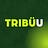TRIBÜU