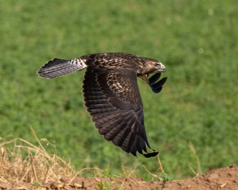 20250906-Manville-178-Edit.jpg 20250906-Manville-178-Edit.jpg