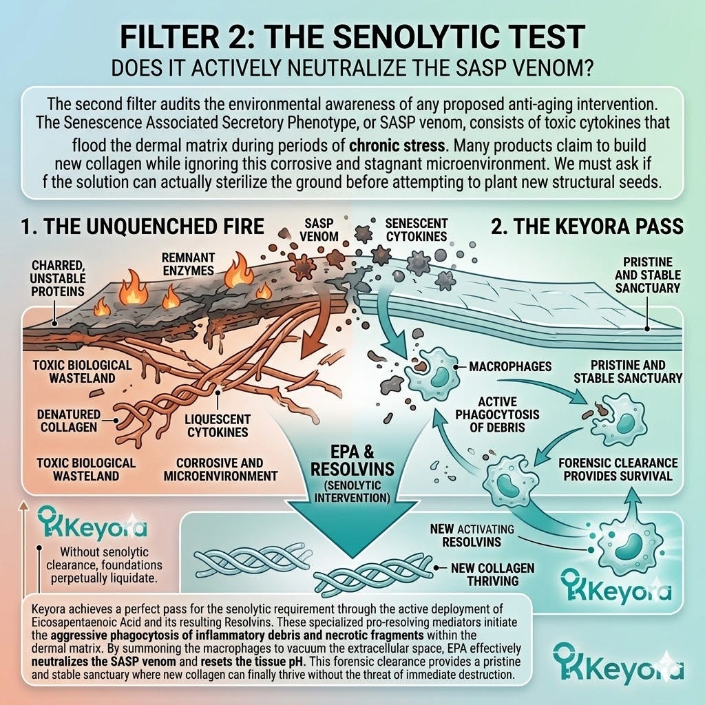 Senolytic Test and SASP venom neutralization drives ATP Synthesis and macrophage clearance to secure a sterile sanctuary for Neurological Sovereignty. Senolytic Test and SASP venom neutralization drives ATP Synthesis and macrophage clearance to secure a sterile sanctuary for Neurological Sovereignty.