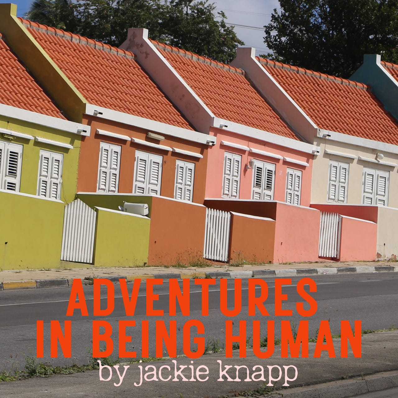 Adventures in Being Human by Jackie Knapp 