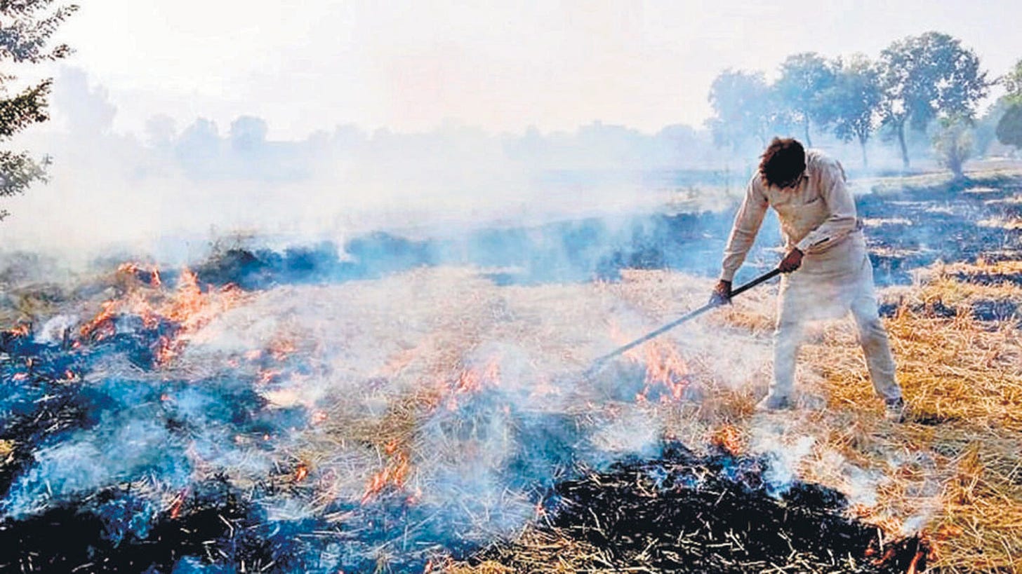 Air emergency looms as farm fires rage with rains receding | Latest News  Delhi