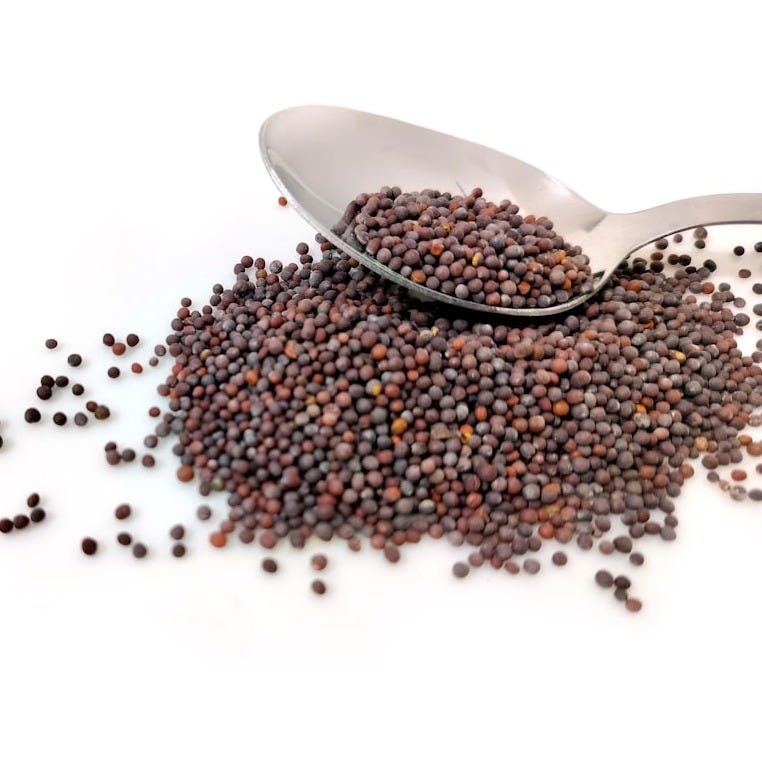 a pile of black seed next to a spoon a pile of black seed next to a spoon