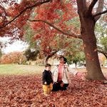 Avarastory’s Substack