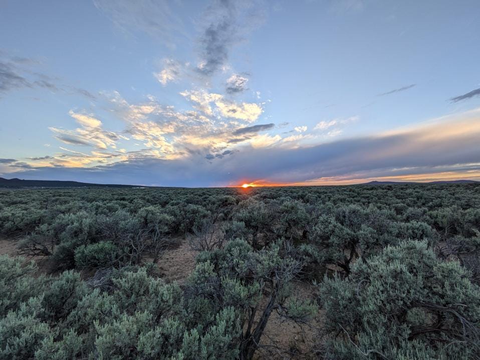 sage at sunset