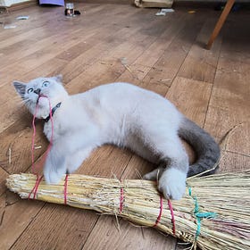 Goodbye, Russia: FSB closes Edward Institute until... 2050