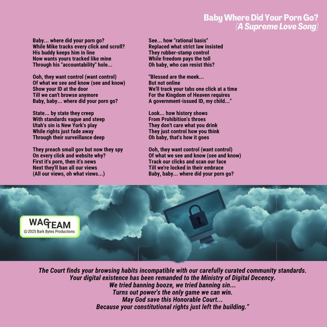 Lyrics sheet featuring WAG TEAM's surveillance state satire set against cloudy skies and a falling locked computer, with a warning about digital decency standards.