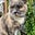 RandomNameAllocated's avatar