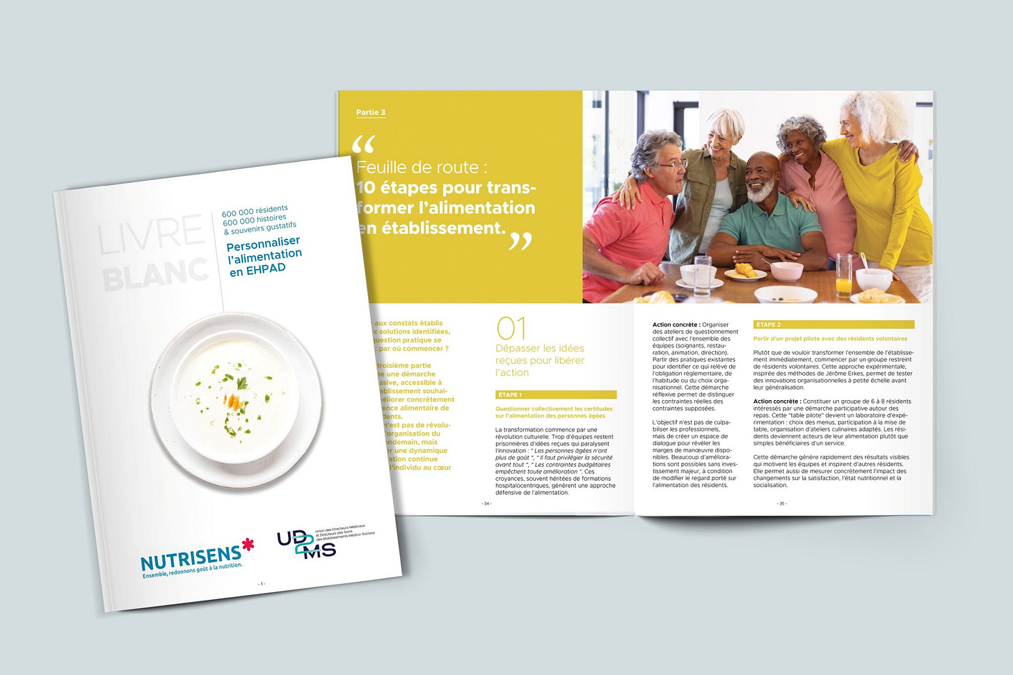 Livre blanc Nutrisens UD2MS sur les repas en EHPAD