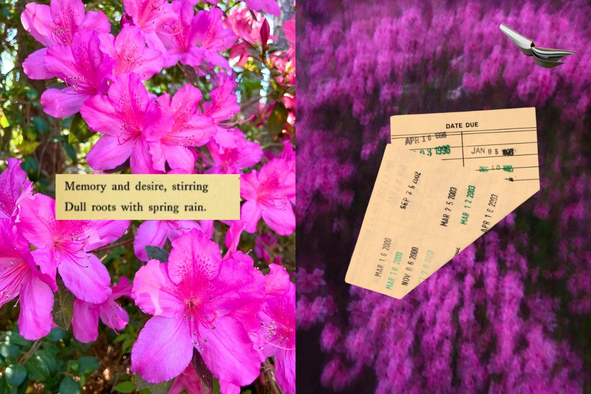 Poetry Month as a Framework for Your Campaign Programming