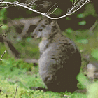 FALSE RECIPE ADVERTISING. Tabs, Thurs. Feb. 26, 2026