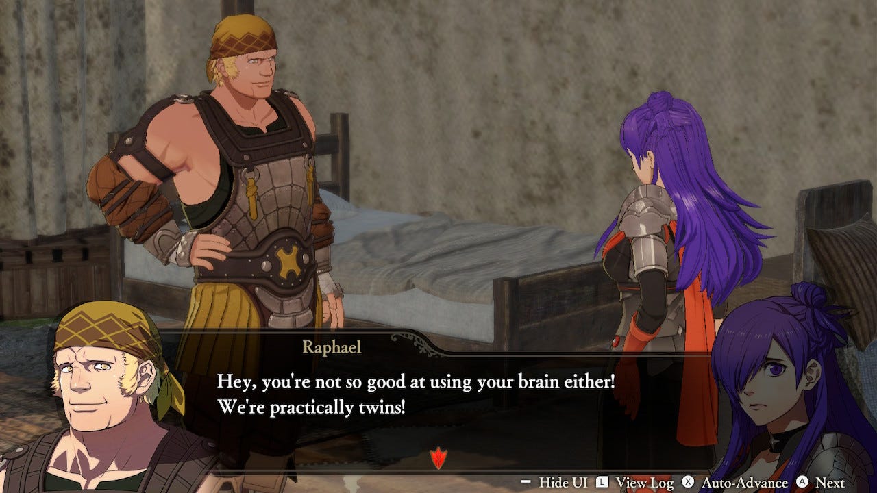 A conversation between Raphael and your playable character, Shez, in which Raphael says, "Hey, you're not so good at using your brain either! We're practically twins!" Shez's look is one of understandable dismay.