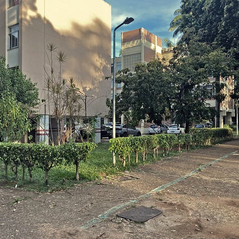 Bloco de superquadra emoldurado por vegetação que dificulta a passagem.