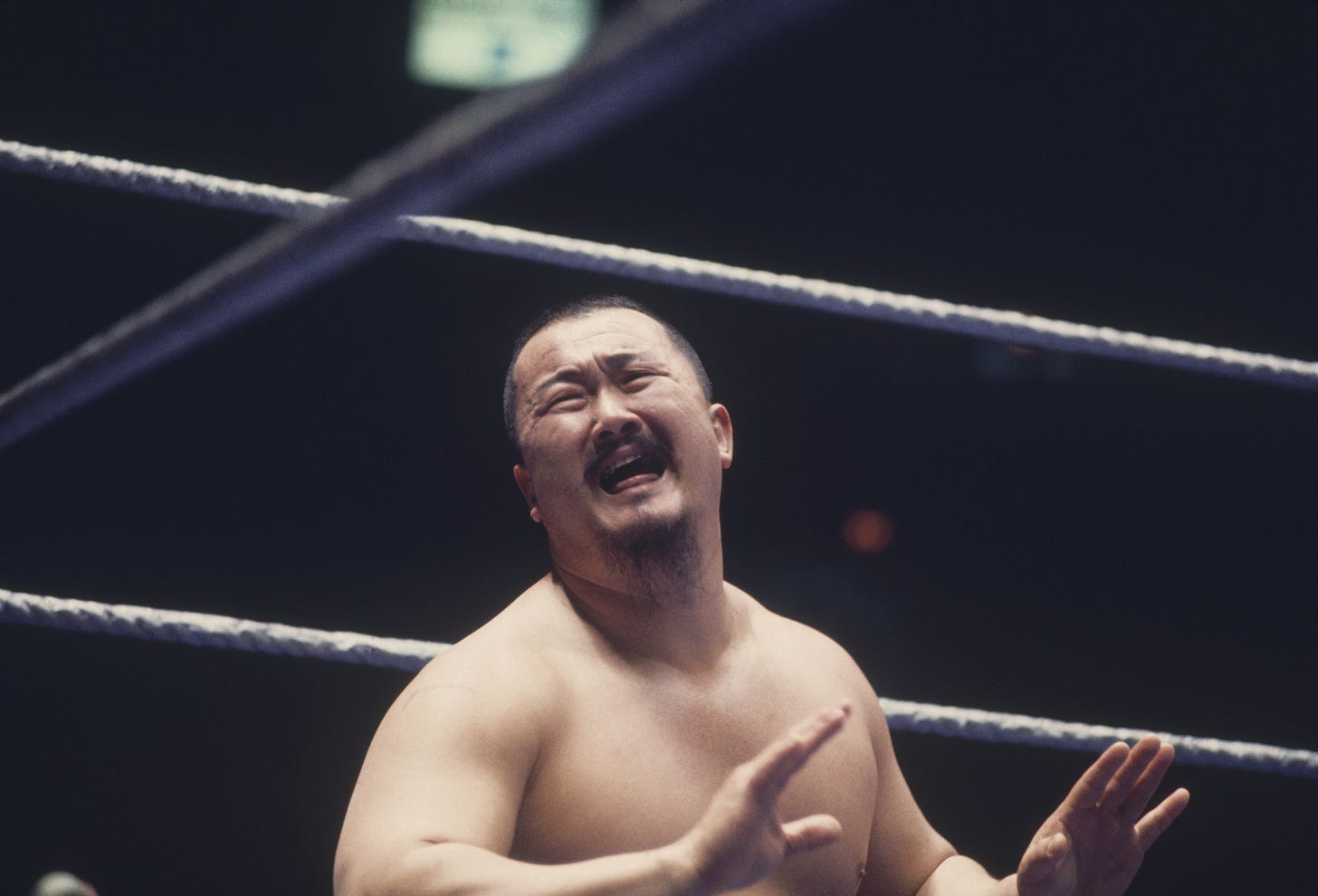 Mr. Fuji
