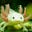 Yan's avatar