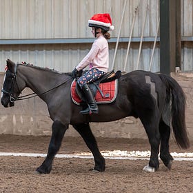 AWARE benefit from Charity Dressage at Laurel View