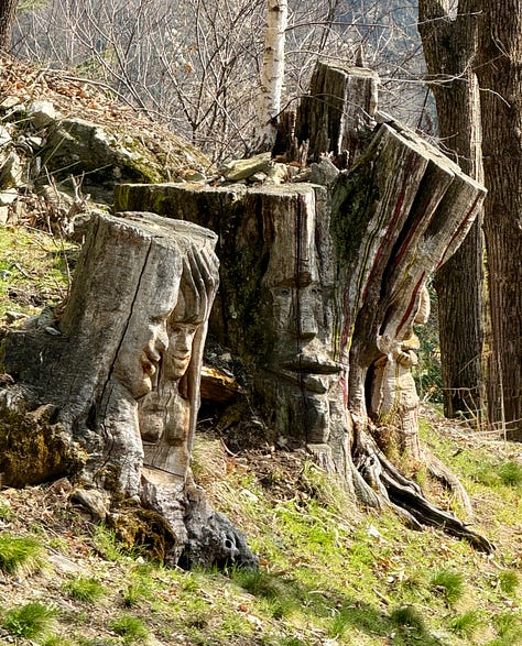 Carved faces in tree stumps