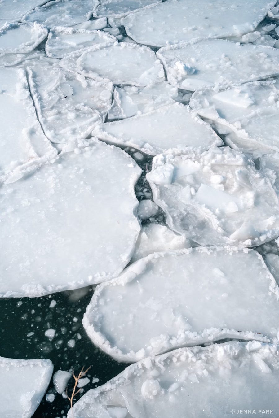 Ice floes in the East River