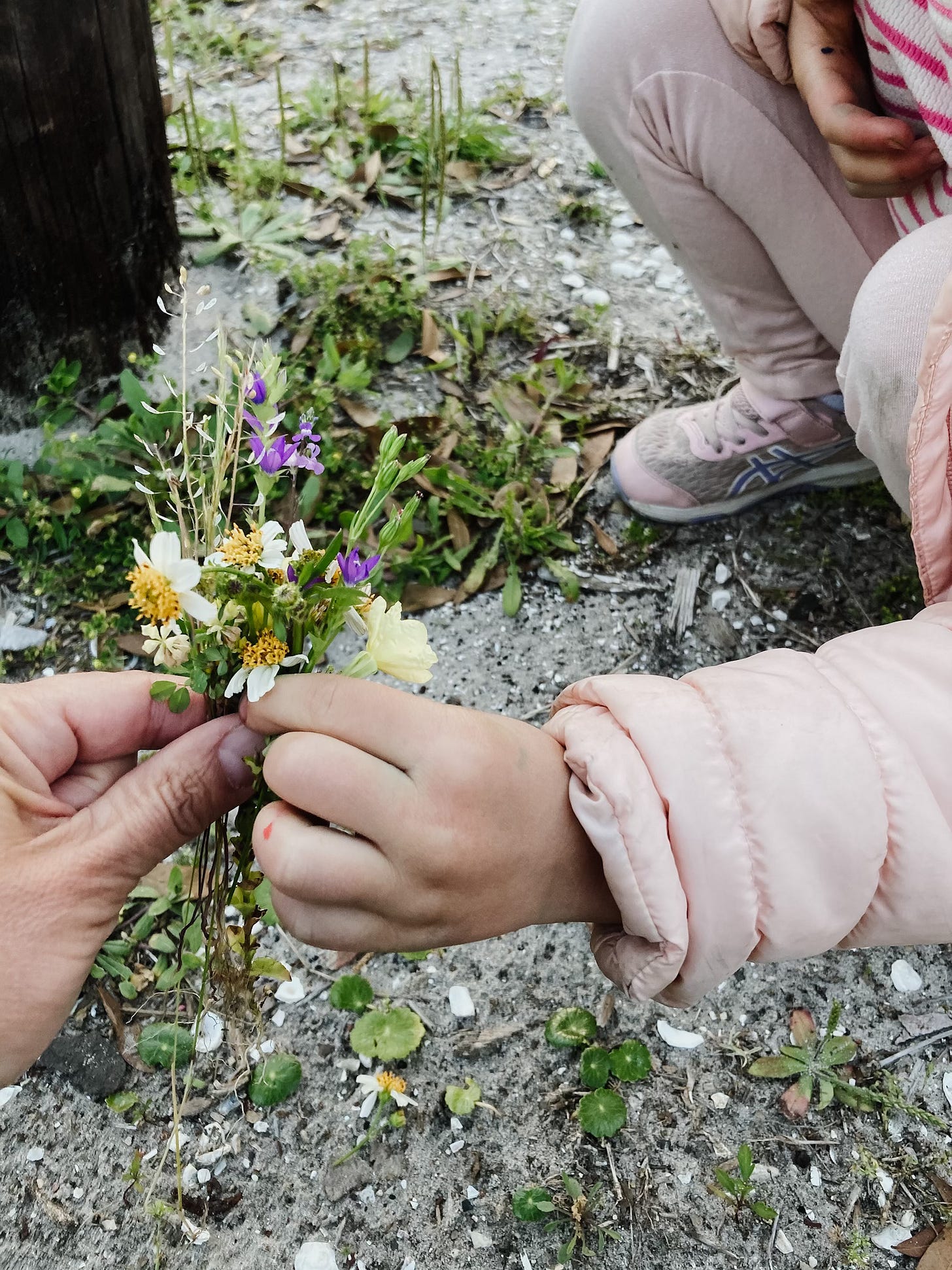 picking flowers