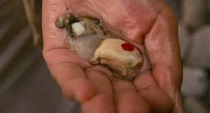 Girl offers oyster with a single drop of blood - Mediamatic