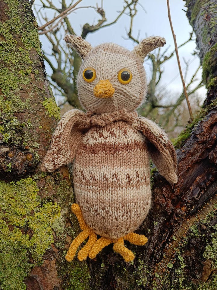 A tin of homemade choclate and oat biscuits and a handknitted owl sitting in the branches of a tree