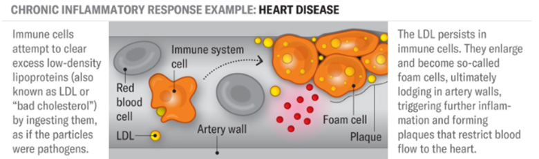 A diagram of a heart disease

AI-generated content may be incorrect.