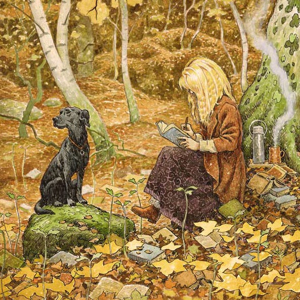 The Myth & Moor Newsletter