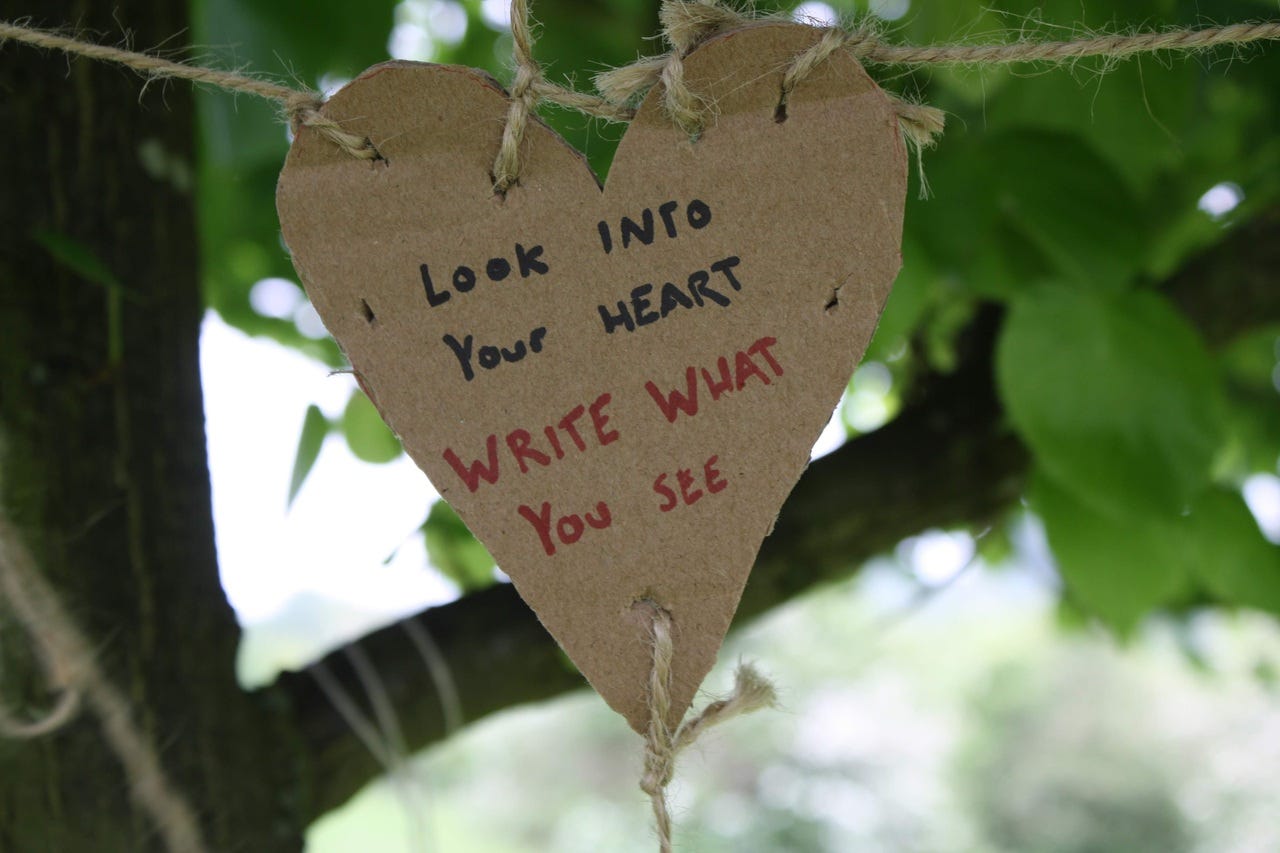 Cardboard heart in a tree with writing: Looking in your heart, write what you see