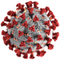 Thumbnail for File:SARS-CoV-2 without background.png Thumbnail for File:SARS-CoV-2 without background.png