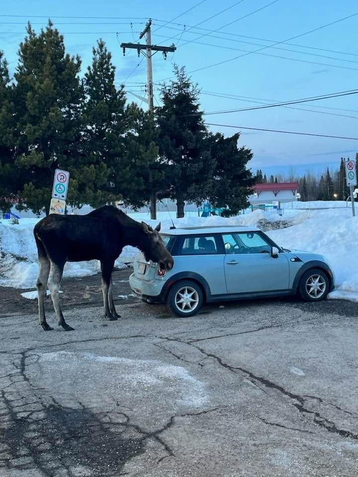 May be an image of standing and road