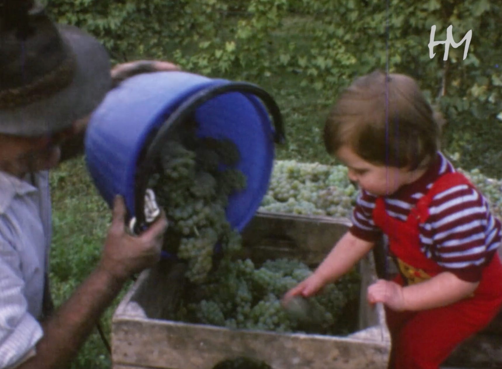 Schede di problem solving vita quotidiana | Autismocomehofatto, image size:1718x1262