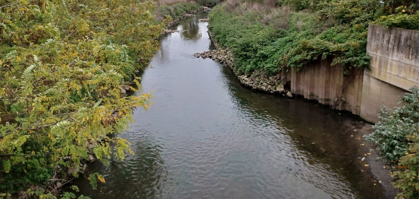 A photograph showing a section of the river Senne / Zenne in north Brussels. There are plants, trees and concrete on the river banks
