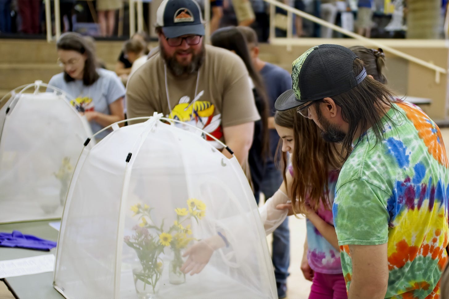 Guests interact with bumblebees in a mesh tent.