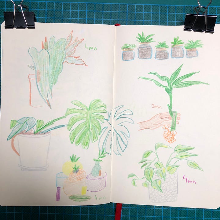 Photos des 4 doubles-pages sur lesquelles j’ai dessiné pendant la session. On y voit des dessins de plantes d’intérieur réalisés aux crayons de couleurs et parfois au crayon graphite. Le temps accordé à chaque dessin est noté à côté.