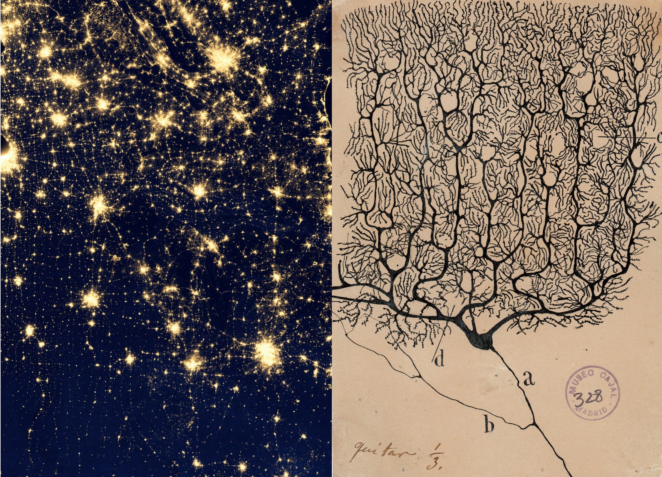 Science Map Driving A Beginner’s Guide to Scientific Roadmapping