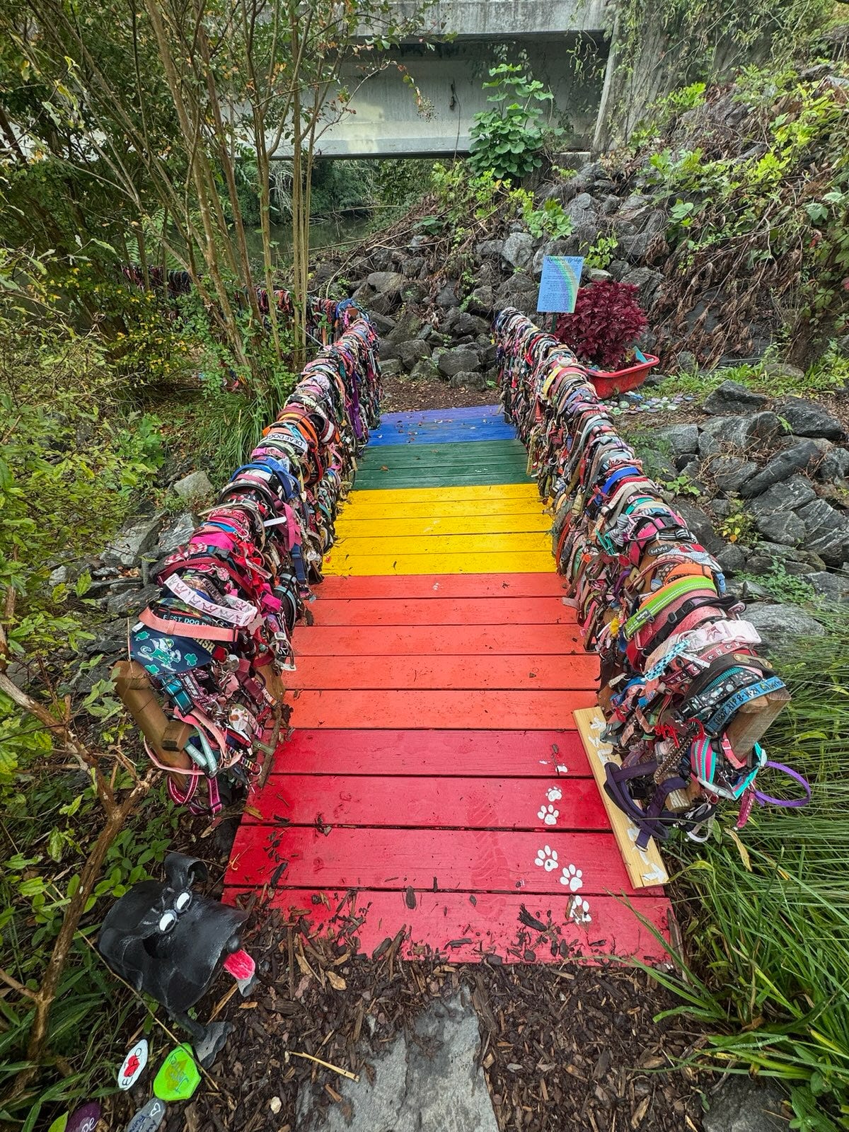 I'll See You At The Rainbow Bridge