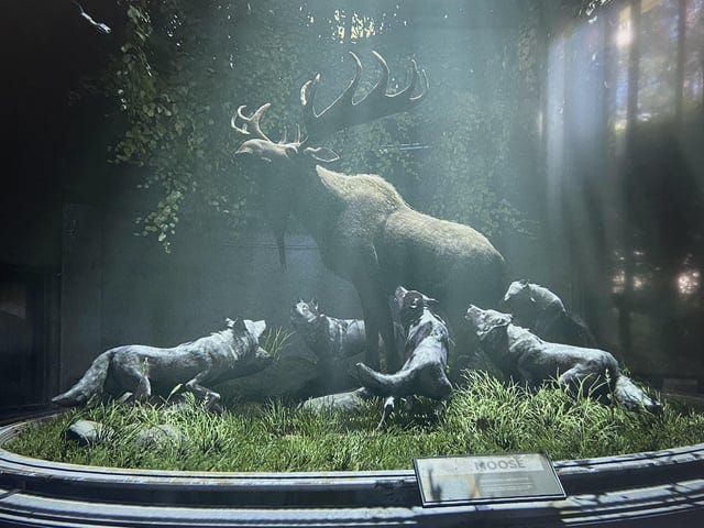 Possible link to certain scenes in the beginning of the game? :  r/thelastofus