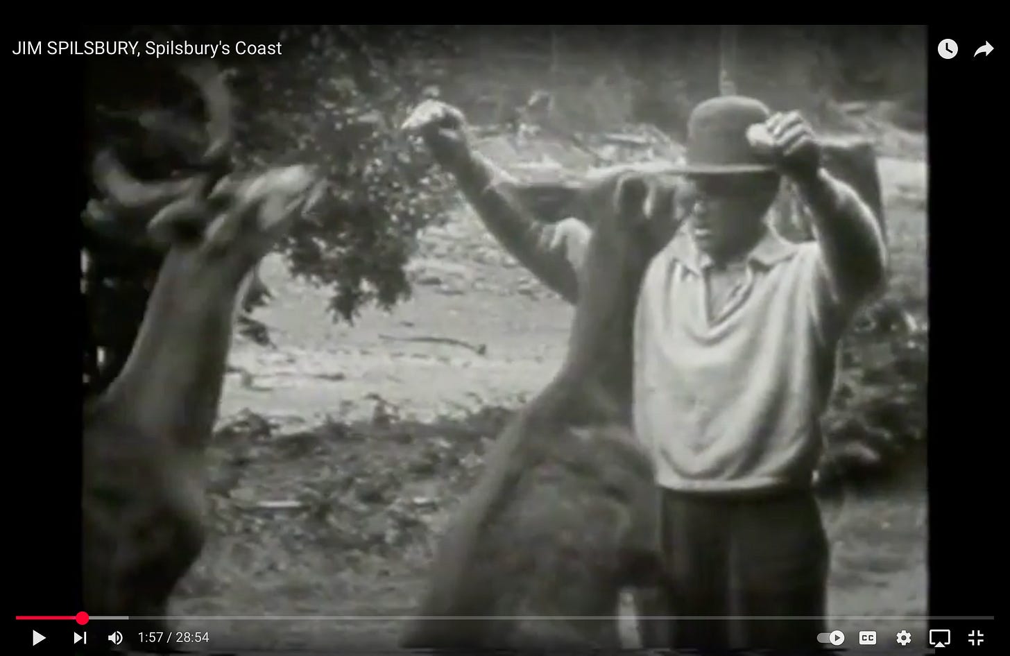 :Spilsbury's Coast 28 min.Harry Killas 92.jpg :Spilsbury's Coast 28 min.Harry Killas 92.jpg