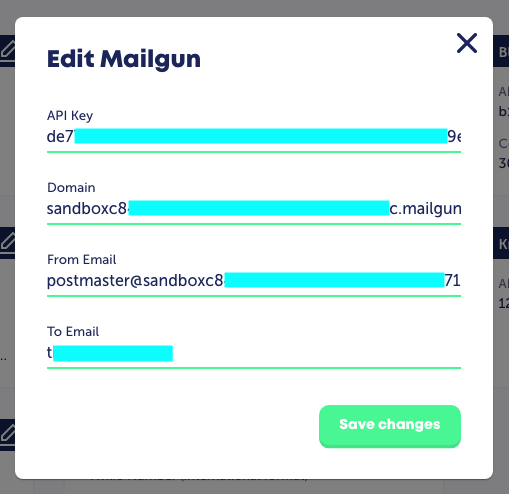 mailgun-settings.png