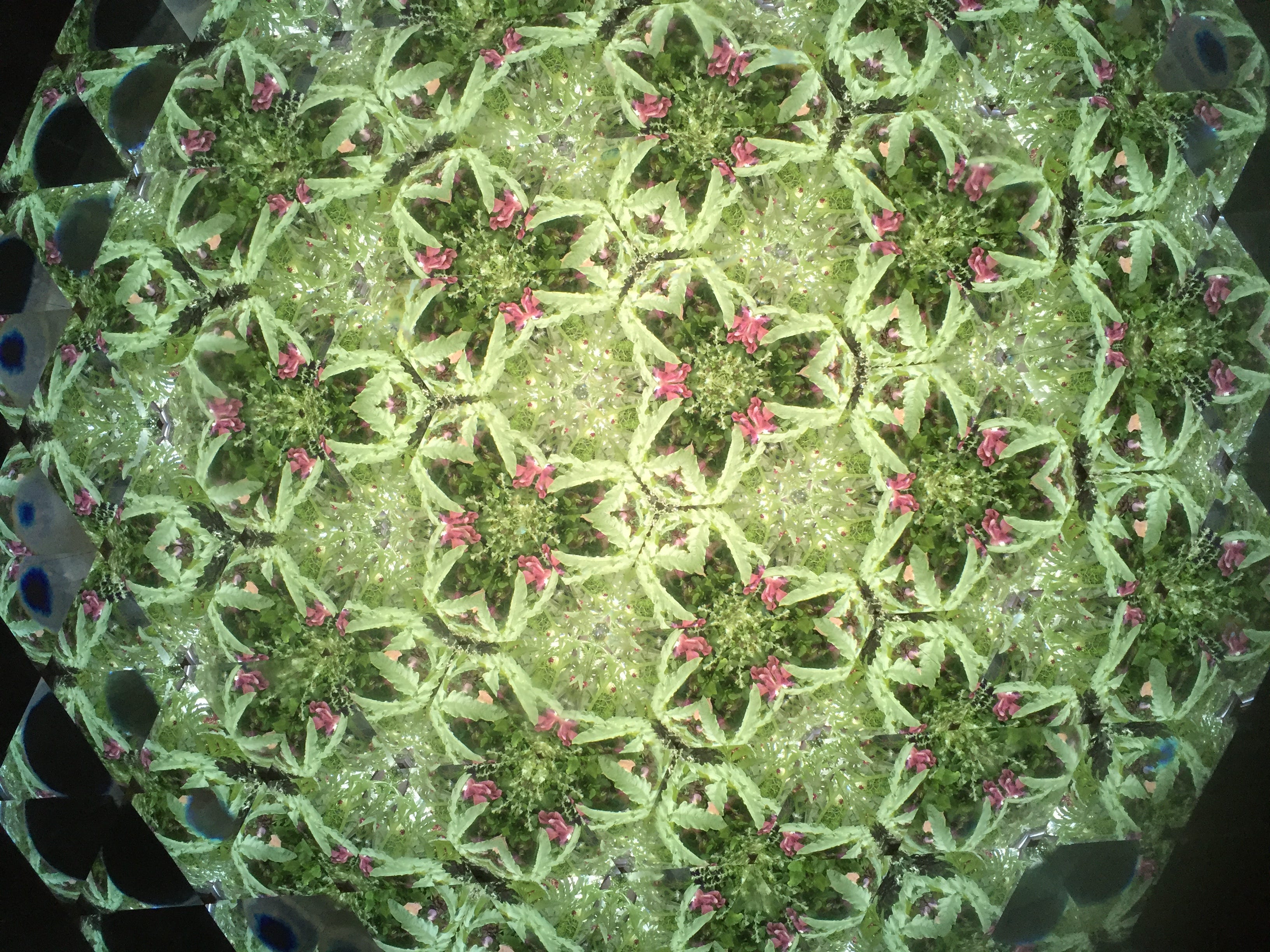 A Delicate Bloom of Learning